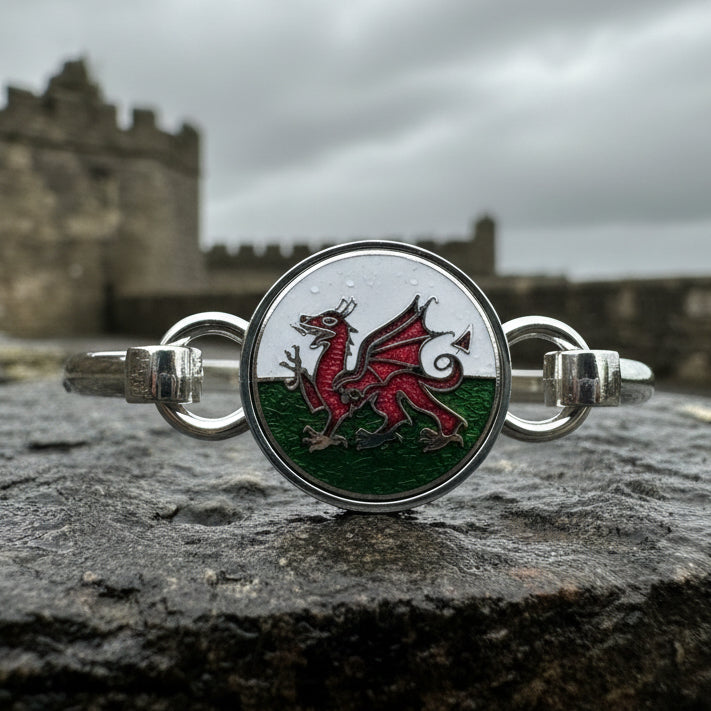 Enamel Celtic Welsh Dragon Bracelet for Women