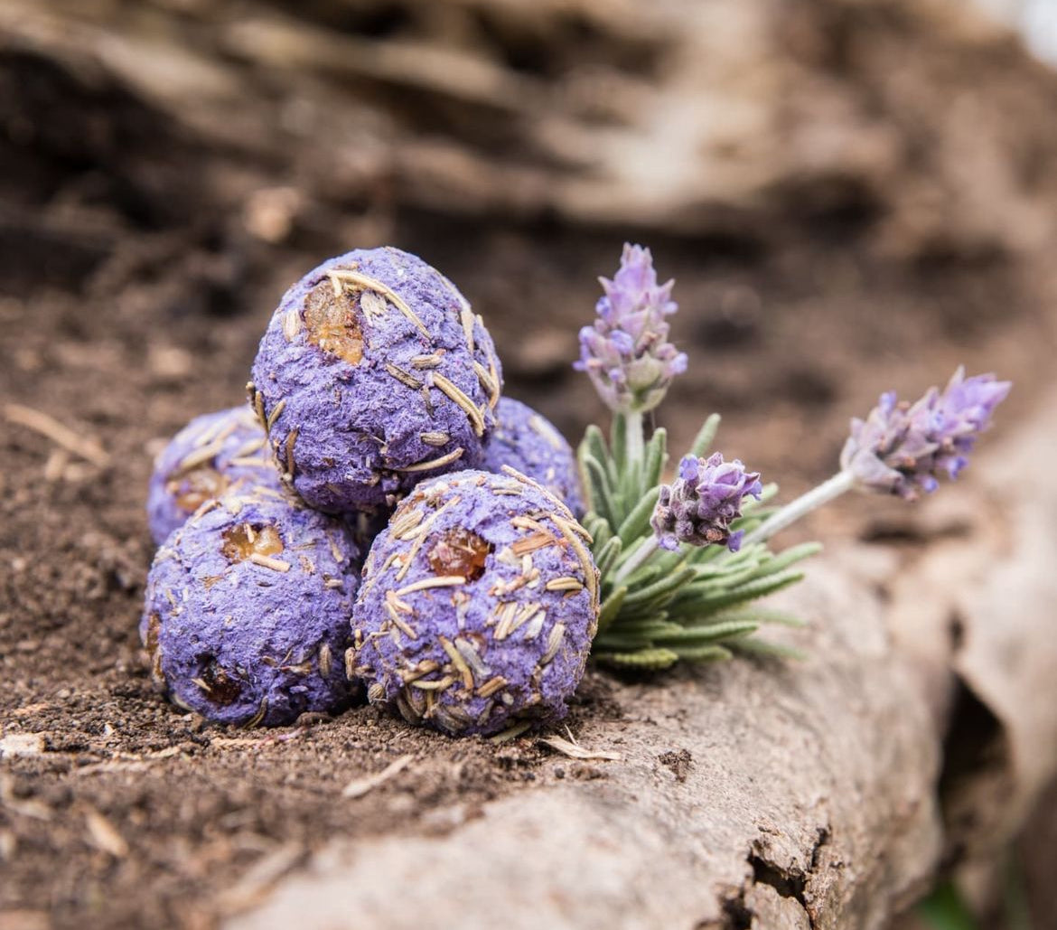 Relaxation Lavender Herbal Gift Box - All Natural