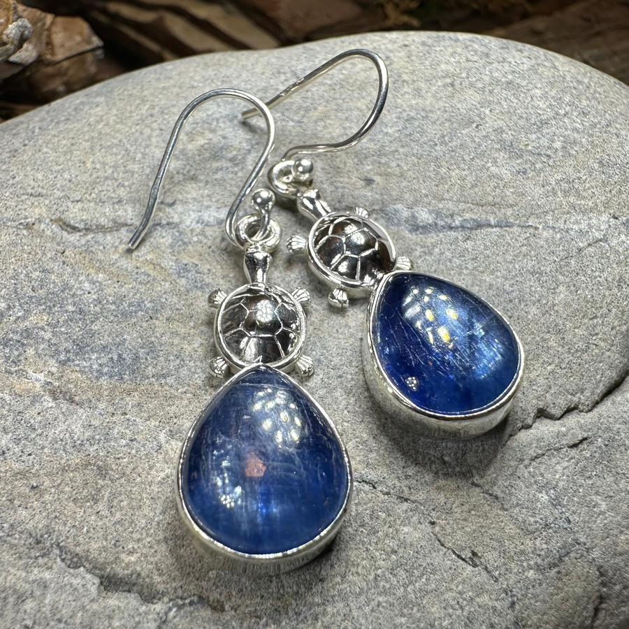 Friendly Turtle Earrings