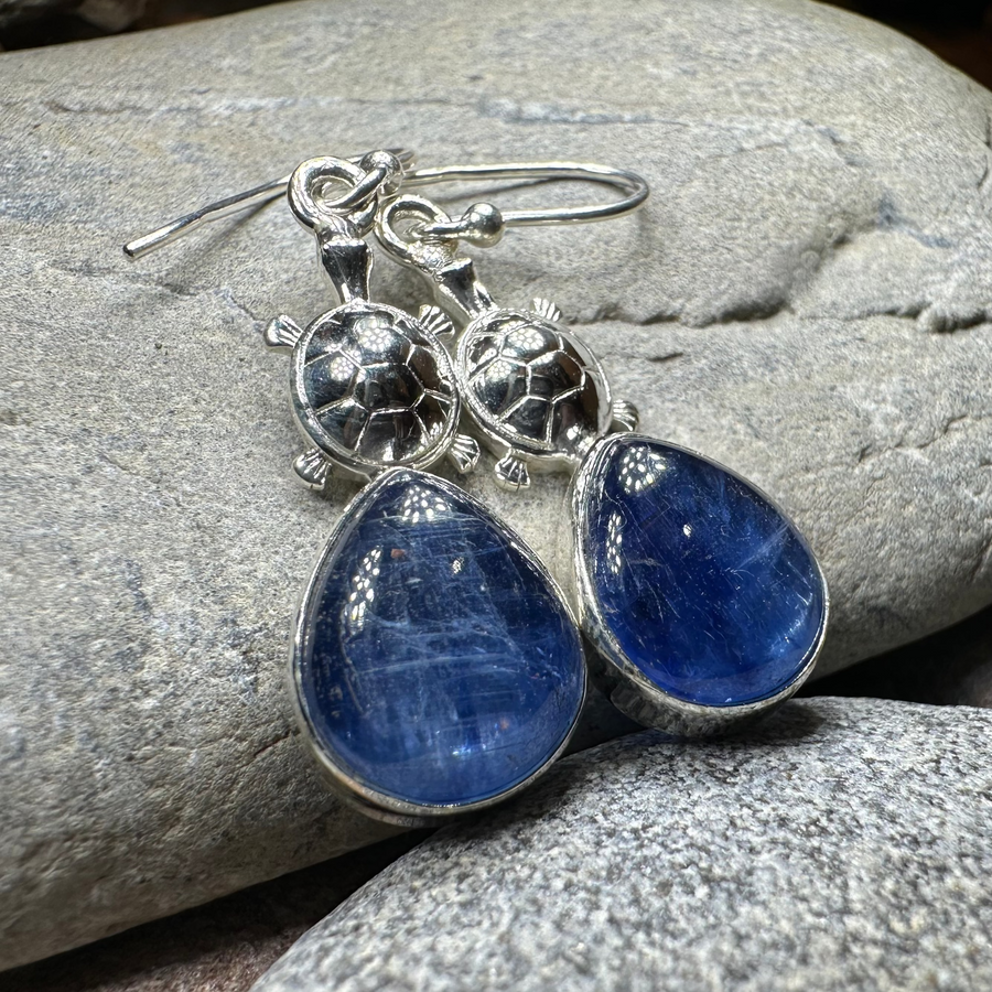 Friendly Turtle Earrings