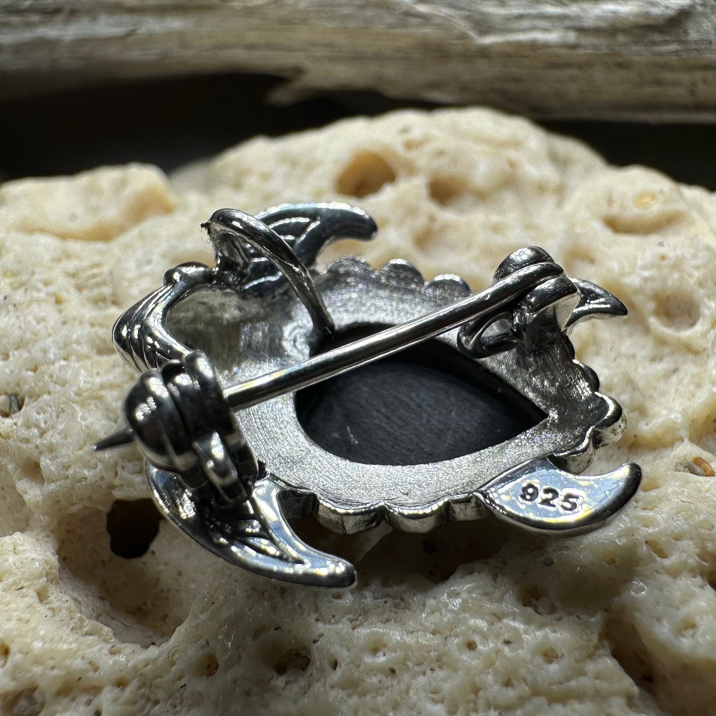 Aryn Onyx Turtle Brooch in Sterling Silver