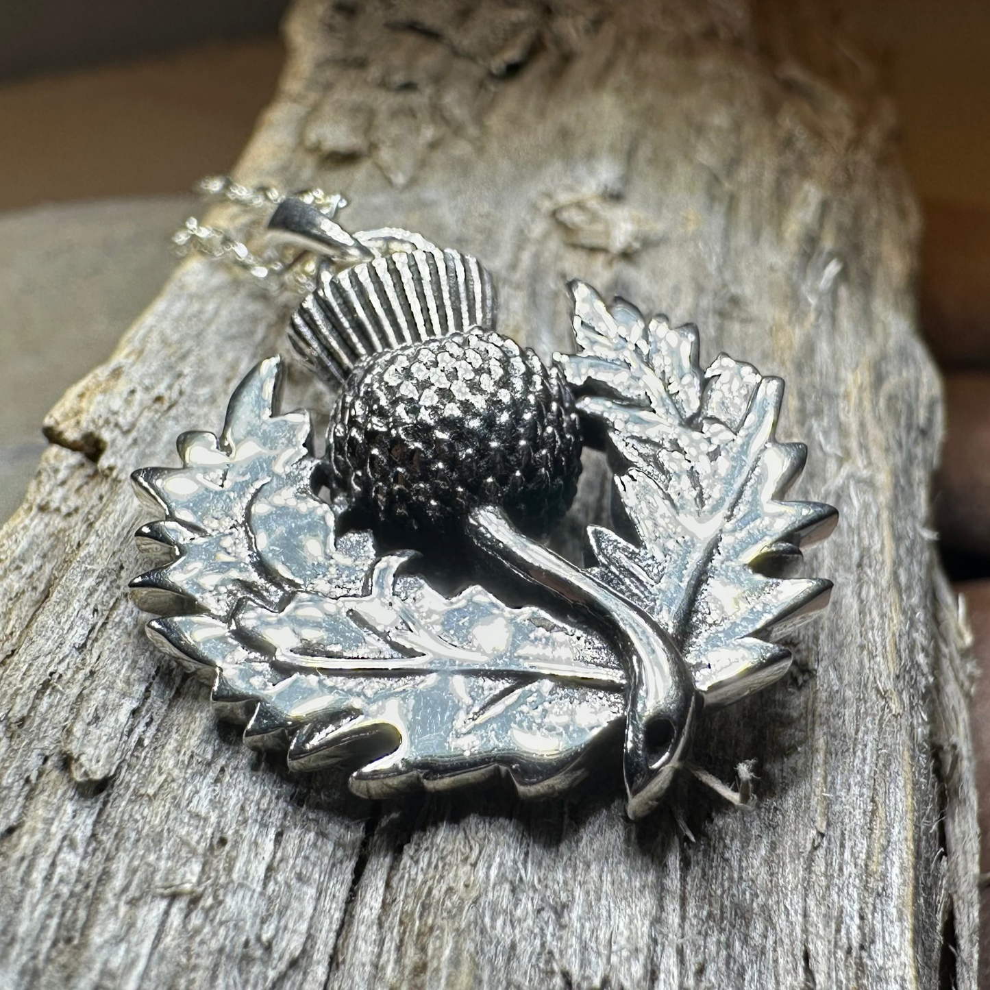 Silver thistle brooch on a wooden surface