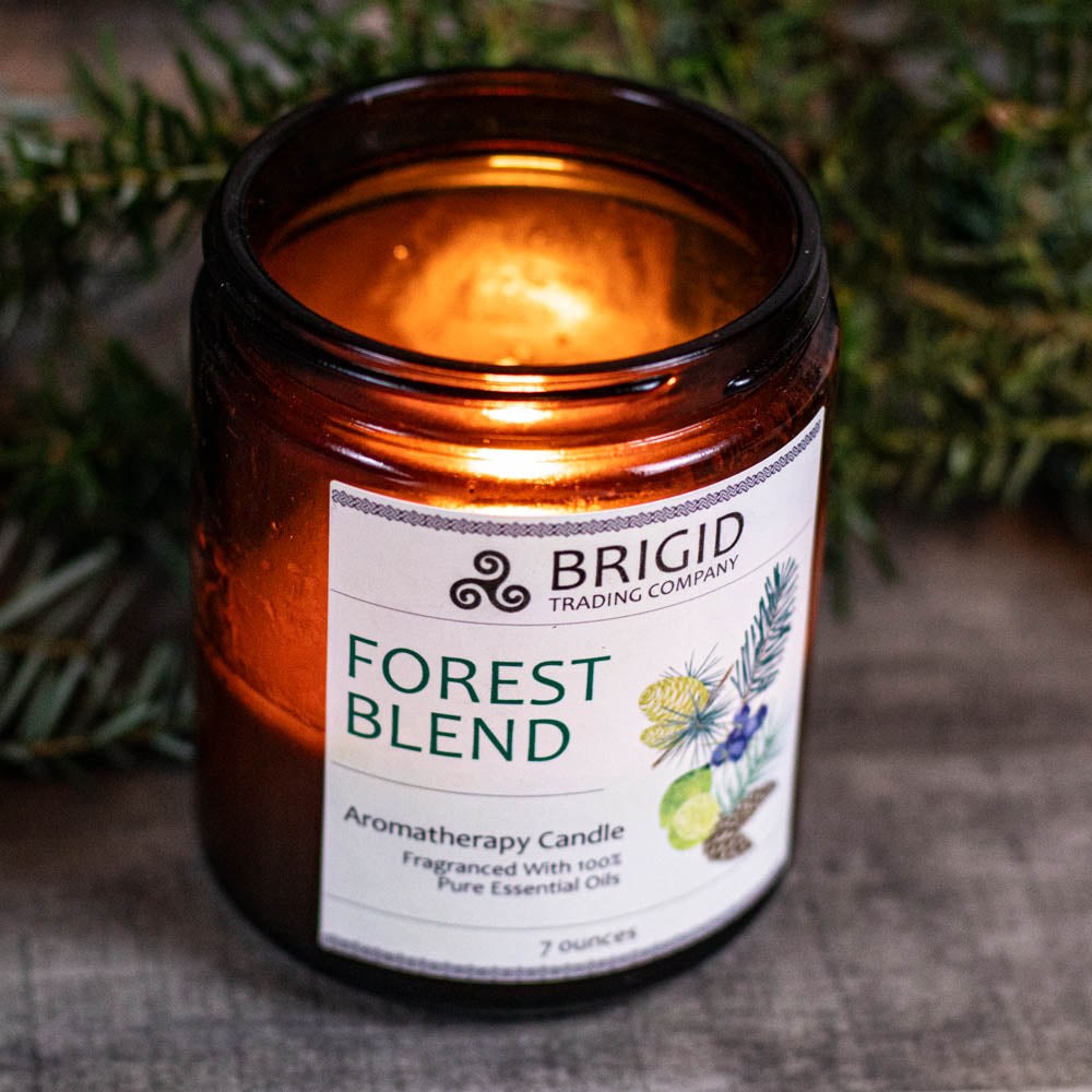 Forest Blend Soy Wax Candle - Juniper, Pine, Balsam, Cedar, and Lime — view 5