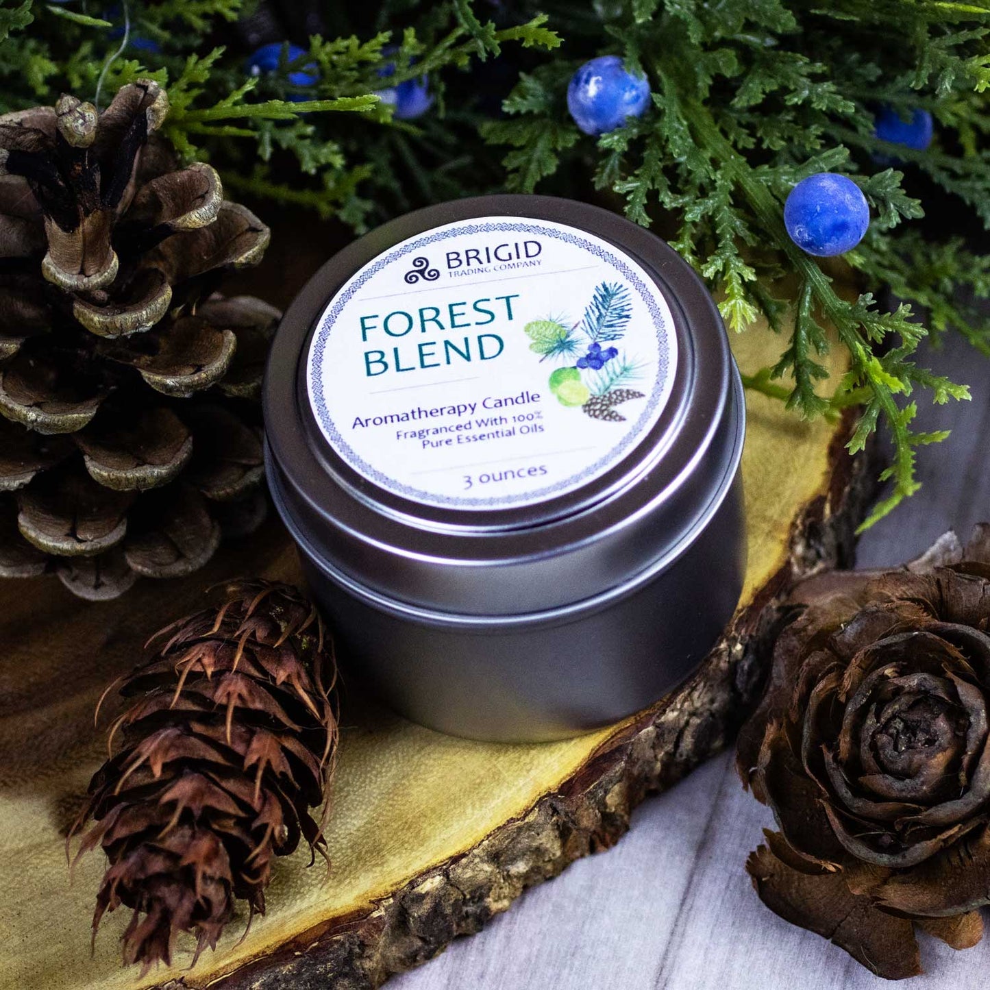 Forest Blend Soy Wax Candle - Juniper, Pine, Balsam, Cedar, and Lime — view 4