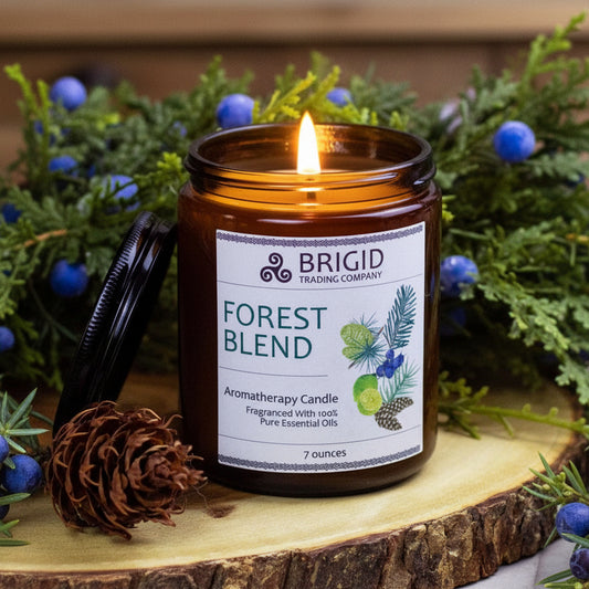 Forest Blend Soy Wax Candle - Juniper, Pine, Balsam, Cedar, and Lime