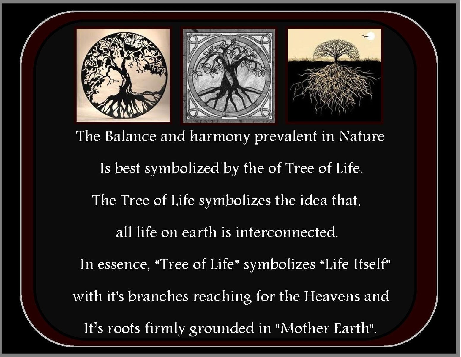 Tree of Life Earrings, Celtic Jewelry, Girls Petite Earrings, Norse Jewelry, Silver Irish Jewelry, Mom Gift, Wife Gift, Girlfriend Gift