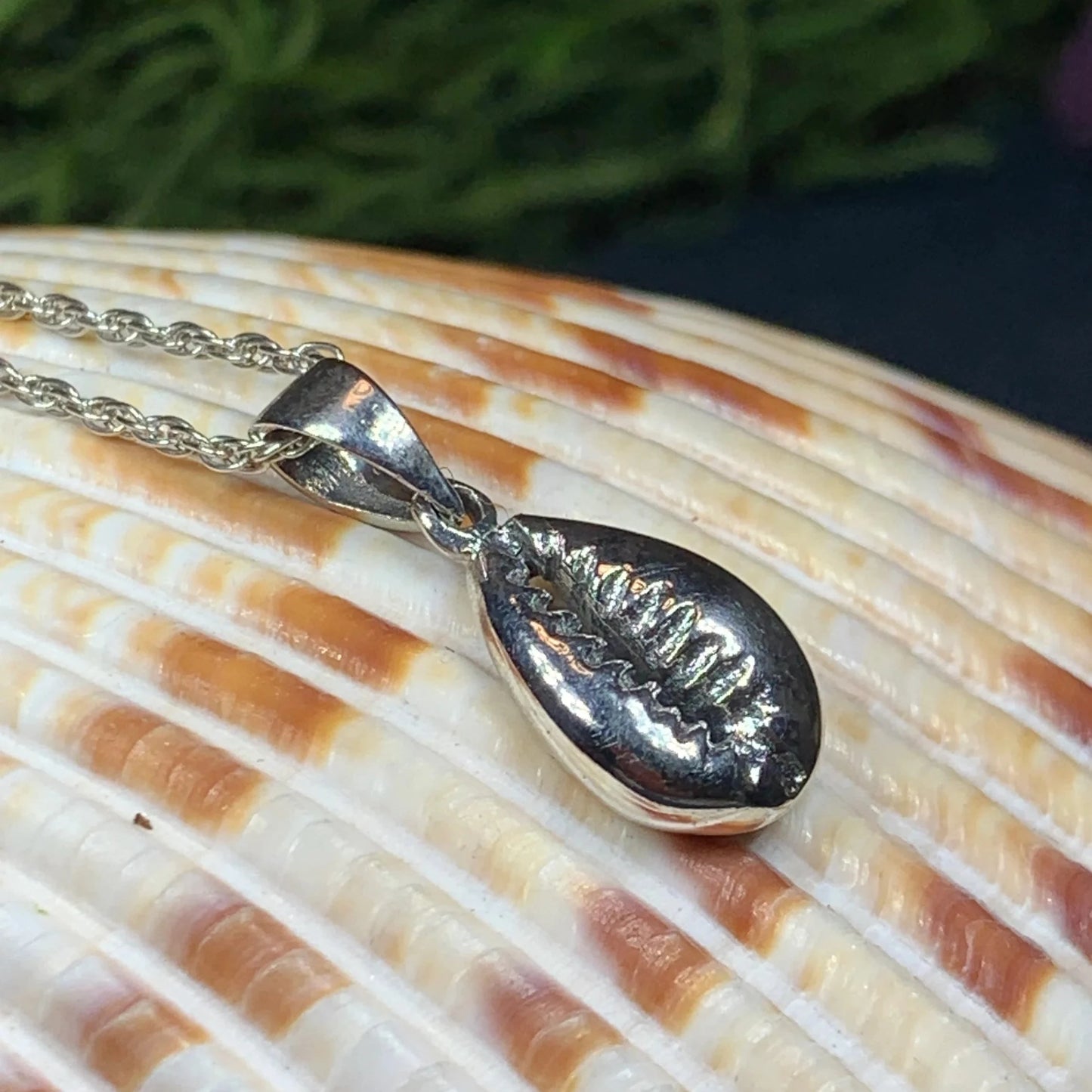 Cowry Shell Necklace in sterling silver