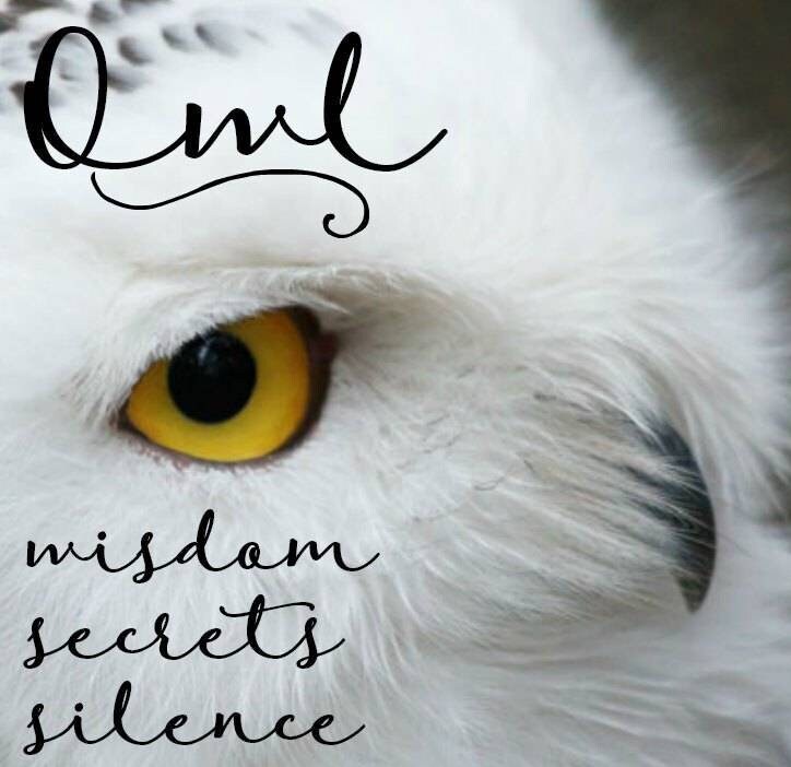 Owl Stud Earrings, Barn Owl Earrings, Silver Post Earrings, Norse Jewelry, Owl Gift, Nature Jewelry, Bird Lover Gift, Girl's Pagan Earrings