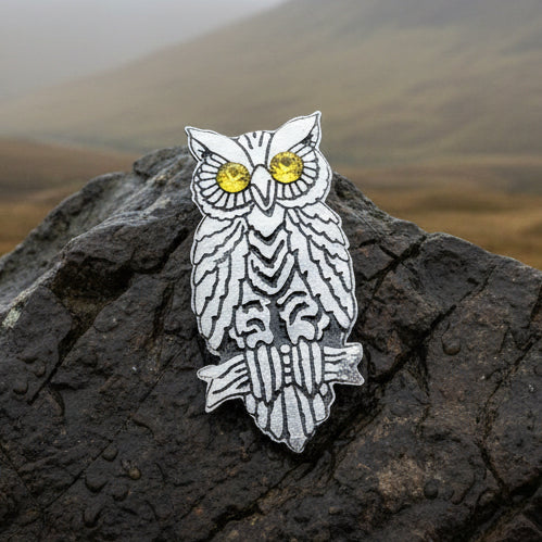 Owl Brooch, Nature Pin, Bird Jewelry, Bird Lover Gift, Wiccan Jewelry, Pagan Jewelry, Enamel Pin, Halloween Jewelry, Teacher Gift