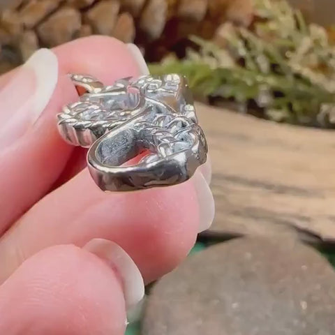 Load and play video in Gallery viewer, Anixa Celtic Dragon Necklace
