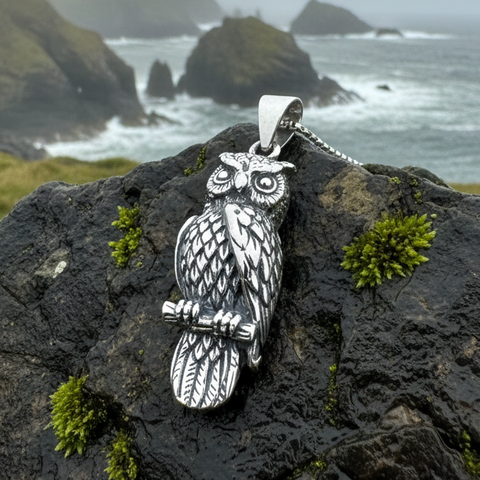 Load image into Gallery viewer, Watchful Owl Necklace in Sterling Silver
