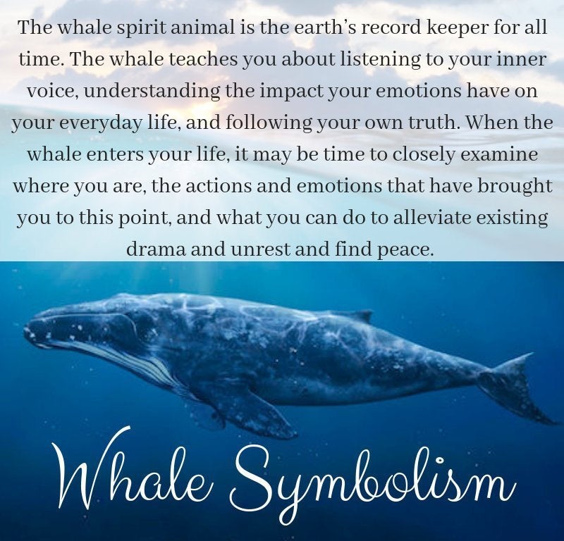 Whale Necklace