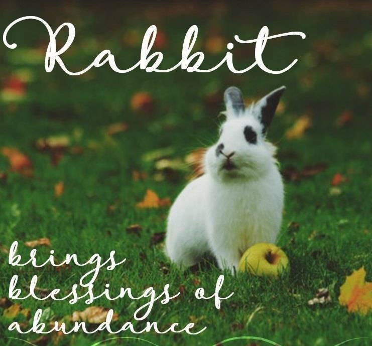 Bunny Love Necklace — view 8