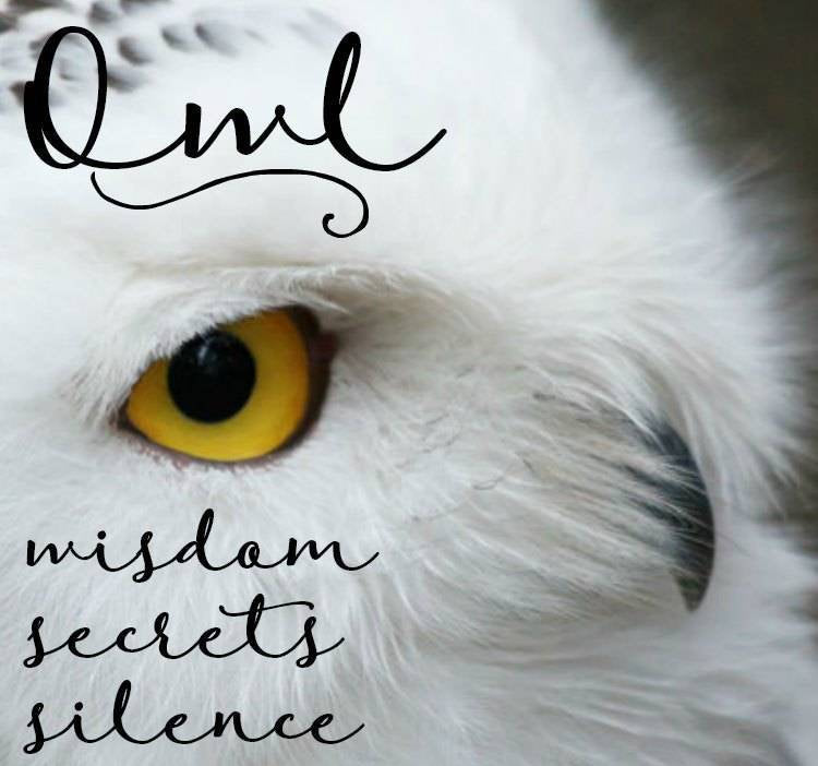 Syra Owl Necklace — view 6
