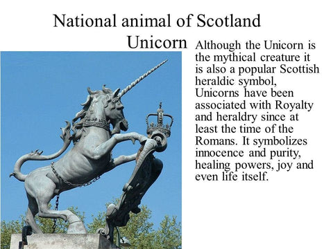 Load image into Gallery viewer, Legendary Unicorn Necklace
