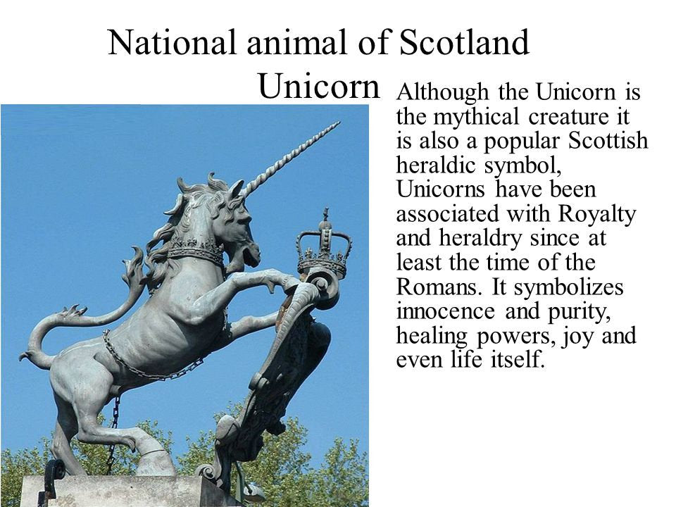 Magical Unicorn Necklace — view 8