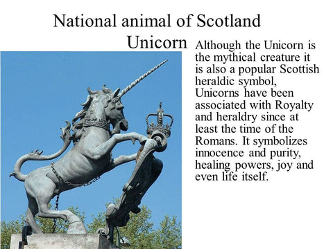 Load image into Gallery viewer, Magical Unicorn Necklace
