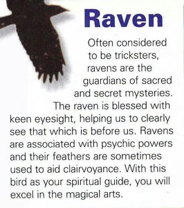 Orna Raven Necklace