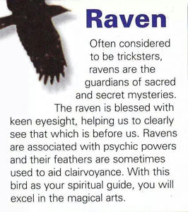 Celtic Raven Lovers Necklace