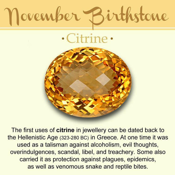 Shiva Shell Citrine Necklace — view 5