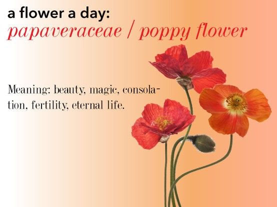 Poppy Flower Necklace - Made in Scotland — view 7