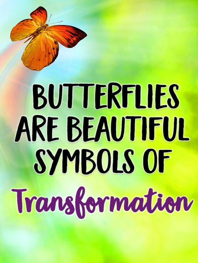 Butterfly Ponytail Holder — view 10