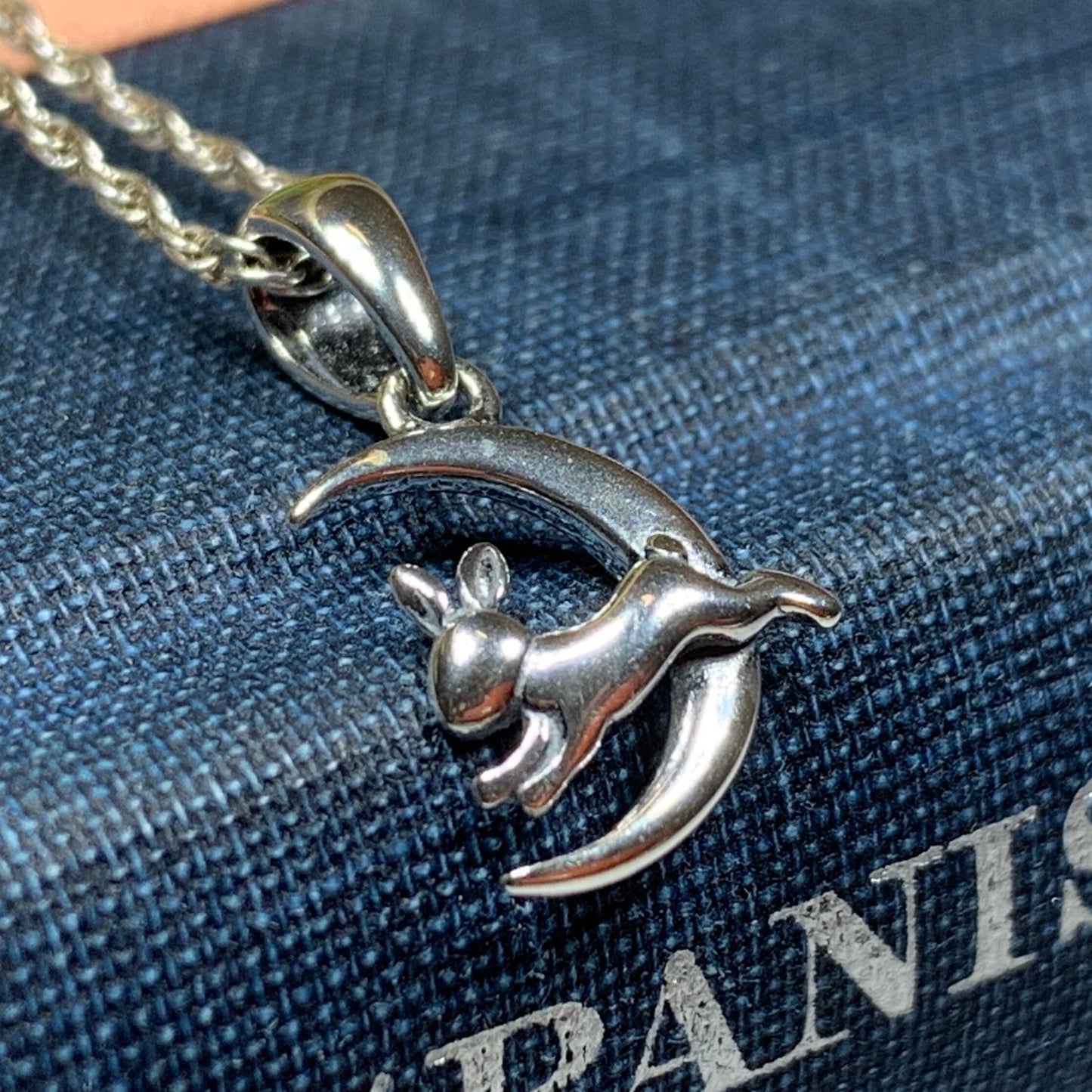 Roxy Rabbit Moon Necklace in sterling silver