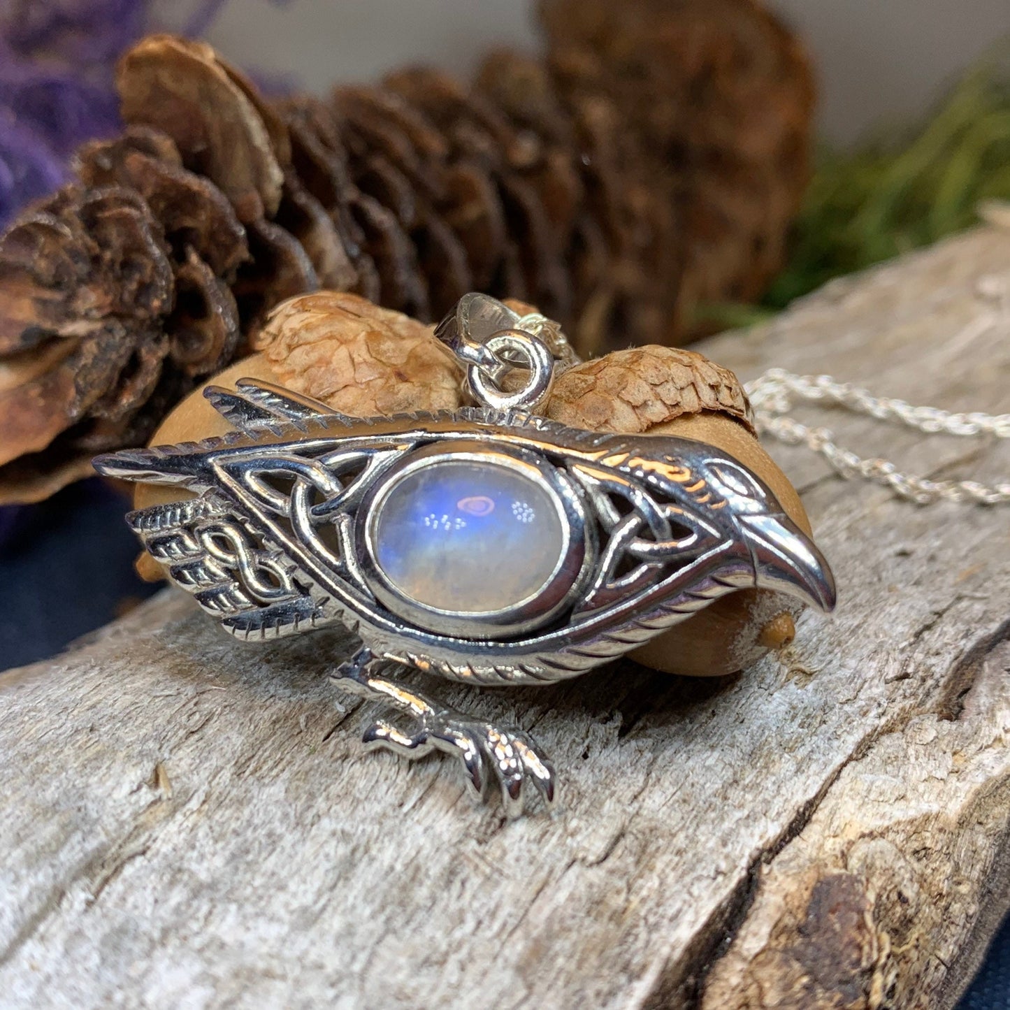 Raven Necklace, Wiccan Jewelry, Crow Pendant, Black Bird Pendant, Bird Jewelry, Pagan Jewelry, Nature Lover, Poe Jewelry, Gothic Necklace