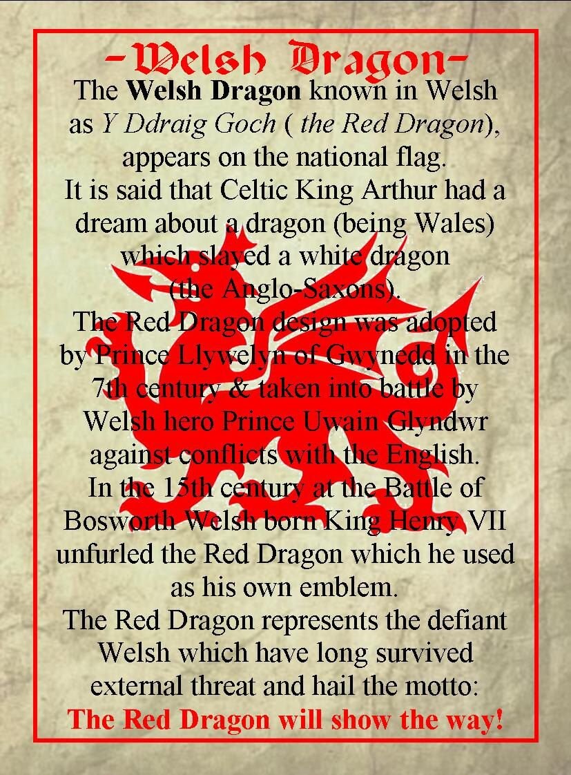 Welsh Dragon Brooch, Wales Jewelry, Extra Large Celtic Pin, Grooms Gift, Father's Day Gift, Celtic Pin, Pagan Brooch, Plaid Pin, Tartan Pin