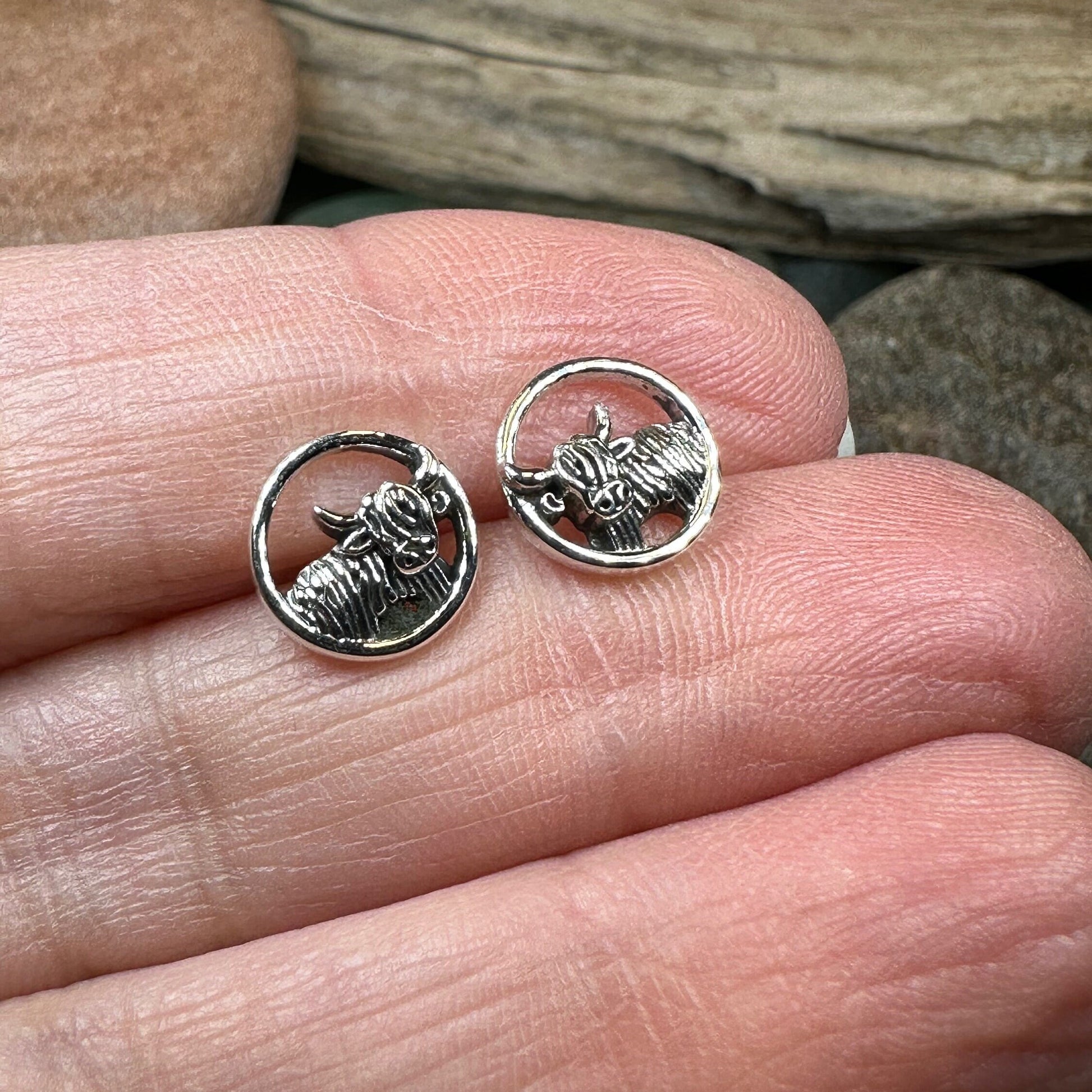 Scruffy Coo Highland Cow Post Earrings for Women — view 4