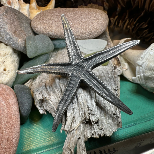 Starfish Brooch — view 5