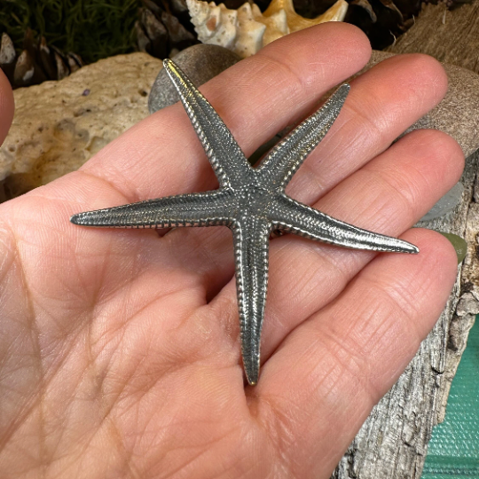 Starfish Brooch — view 2