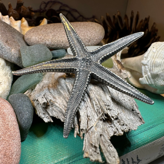 Starfish Brooch — view 7